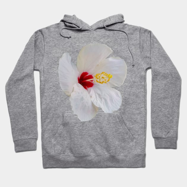 White Hibiscus Floral Photo Hoodie by ellenhenryart